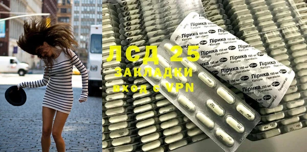 a pvp Зеленокумск