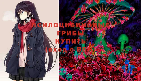 ПСИЛОЦИБИНОВЫЕ ГРИБЫ Зеленодольск