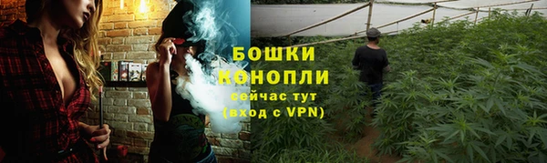 a pvp Зеленокумск